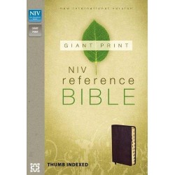 Bible Angl NIV Giant print reference bible burundy thumb index