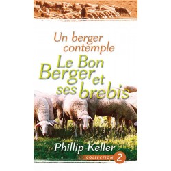 UN BERGER CONTEMPLE LE BON BERGER ET SES BREBIS (Phillip KELLER)