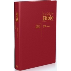 Bible NEG gros caractères hc skyvertex rouge