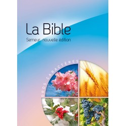 Bible Semeur 2015 gros caractère rigide bleu-rose illustrée