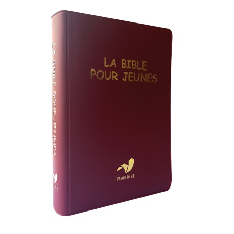 BIBLE POUR JEUNES Pdv + DC souple rouge