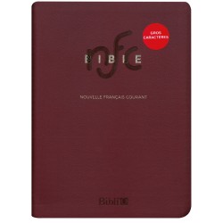 Bible NFC (gros caractères) + DC