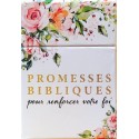 Promesses bibliques (cartes)