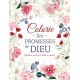 Colorie les promesses de Dieu