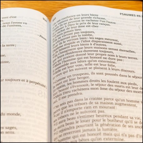 Bible Segond 21 grand caractère