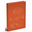 Bible NFC + DC (édition limitée)